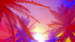 1 Hour Visual In Full HD / Tropical Sunset Background Loop