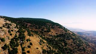 Israel by Drone. Biriya forest