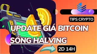 XU HƯỚNG BITCOIN $BTC TRONG SÓNG HALVING / ALTCOIN CÒN GIẢM NỮA KHÔNG? | TIPS CRYPTO