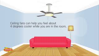 Use Ceiling Fans (Warm Weather)