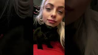 Liv Morgan and her kitten❤️: Instagram Story.