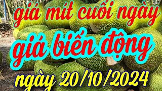 giá mít cuối ngày 20/10/2024