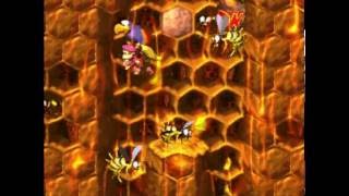 Donkey Kong Country 2: 102% - Level 5-4: Parrot Chute Panic