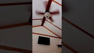 idk..........I JUST LOVE THEM #ceilingfanhouse #ceilingfan