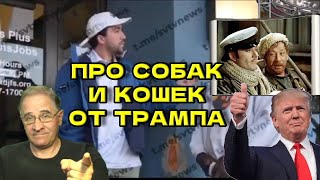 Про собак и кошек от Трампа | Новости 7-40, 12.9.2024