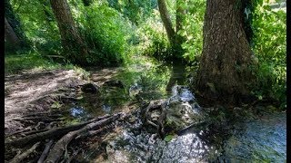 Relaxation à la source aux fées