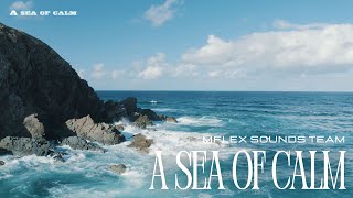 Mflex Sounds Team - A Sea Of Calm /4K/ 2024