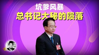 坑爹引发的政治风暴：总书记大秘的陨落