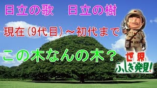 日立世界ふしぎ発見CM　日立の樹　この木なんの木  現代から初代まで 詳しい解説付き　HITACHI　ﾓﾝｷｰﾎﾟｯﾄﾞ