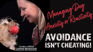 Managing Dog Anxiety or Reactivity: Avoidance Isn't Cheating!