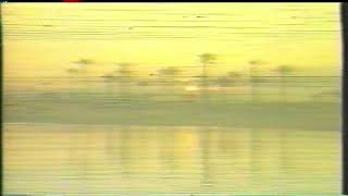 VHS Video Effects #13 - Tropical Horizon