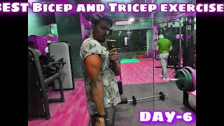 DAY 6- Biceps & Triceps Workout for Bigger Arms