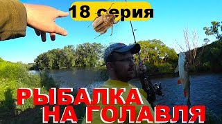 [18] НА РЫБАЛКУ НА ВЕЛИКЕ / рыбалка на Дону / рыбалка на голавля без понтов