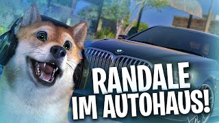 RANDALE IM AUTOHAUS! 🤣 - CSYON Stream Highlights