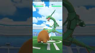 Pokemon Go Rayquaza Duo Mamoswine ARMY