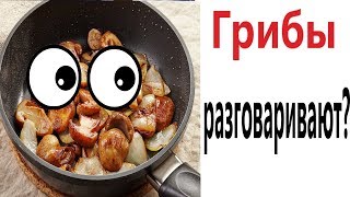 Лютые приколы. Я РАЗГОВАРИВАЮ С ГРИБАМИ!!! Самое смешное видео! Попробуй не засмеяться! Domi Show!