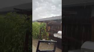 Raining in California