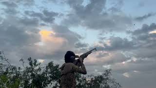 Insane Dove Hunting!!! #chaos #hunting #dovehunting #viral #subscribe #rodnrifle