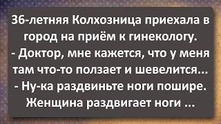 36-летняя Колхозница у Гинеколога и Дачница с Соседом! Сборник Самых Свежих Анекдотов!