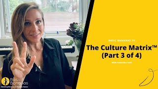 The Culture Matrix™ (Part 3 of 4)