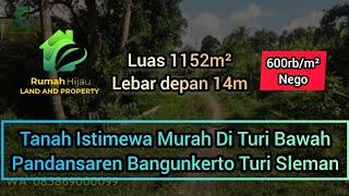 Tanah Murah di Turi Bawah, Bangunkerto Turi Sleman Yogyakarta