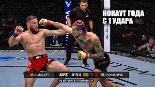 Заключительный Разбор Боя Шон О'Мэлли VS Мераб Двалишвили UFC 306 / Смотреть Прямой Эфир