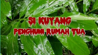 PENASARAN !! ADA KUYANG DI RUMAH TUA