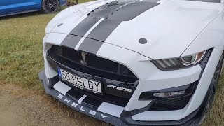 Mustang Shelby GT500 na Małopolskim Zlocie Mustangów 24. 06. 2023