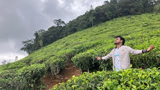 Found the treasure | Ooty Tea Estate | Let's go Ooty | Ooty | Chapter 3 Ep 4 | Vlogs | @heyutkarsh