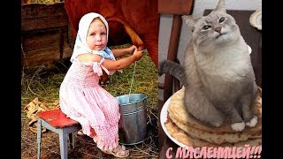 НЕ ВСЁ КОТУ МАСЛЕНИЦА