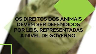 Bem-estar Animal | Direitos dos Animais | Artigo 14º