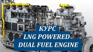 Курс "LNG powered Dual Fuel Engines" - особенности конструкции, эксплуатации и бункеровки СПГ.