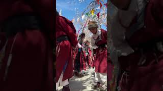 Lehdo Apricot Blossom Festival