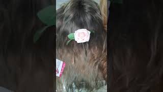 ‏Egywig Human Hair Wig Brazil peruca اكستنشن بواريك شعر طبيعى بالختم الأصلى‏ على Facebook Watch