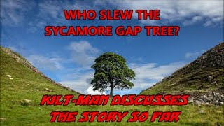 ICONIC SYCAMORE GAP TREE FELLED - THE HISTORY, THE CRIME, THE SUSPECTS, THE BIZARRE MYSTERY!