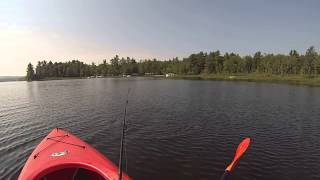 thieving pickerel