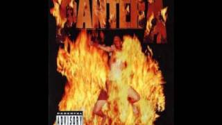 Pantera - I'll Cast a Shadow