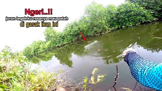 Rejeki si pemancing//untung saja joran tegeku gak patah di gasak ikan ini