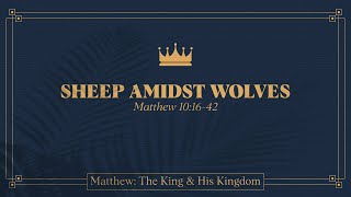 Ryan Kelly, "Sheep amidst Wolves" - Matthew 10:16-42