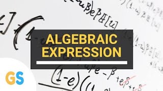 CLASS 8 MATHEMATICS ALGEBRAIC EXPRESSIONS CBSE SEBA TULIP TUTORIAL