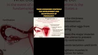 What are progesterone #hormones #chemistry #chemistryguru #class12chemistry #deepthechemist