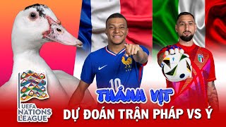 Thánh vịt dự đoán Pháp vs Italia | Mbappe rực sáng? | Trực tiếp Nations League hôm nay