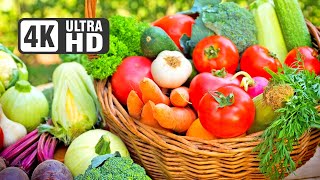 Winter Vegetables 4K video || Different types of winter vegetables