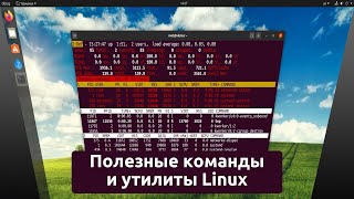 Команды и утилиты Linux, которые могут пригодиться каждому. От новичка до системного администратора