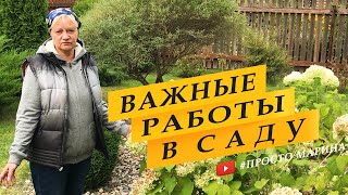 Сентябрь. Важные дела в саду.