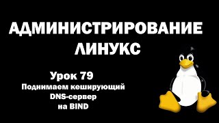 Администрирование Линукс (Linux) - Урок 79 - Поднимаем кеширующий DNS-сервер на BIND