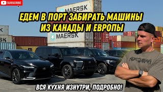 Авто из Грузии! Едем в порт забирать машины из Канады и Европы! Вся кухня изнутри, подробно!