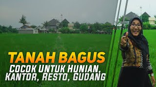 Tanah Bagus Dekat Bandara Adisucipto Depan RSI PDHI Purwomartani Kalasan Sleman | TANAH DIJUAL JOGJA