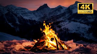 Cozy Campfire 🔥Campfire & Nature Sounds For Relax, Study 🔥Night Fire Sounds