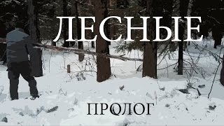 ПЕРВОЕ ВИДЕО | Так НАЧИНАЛСЯ ПРОЕКТ "Лесные" - Поход в лес!